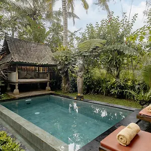  Villa Moringa